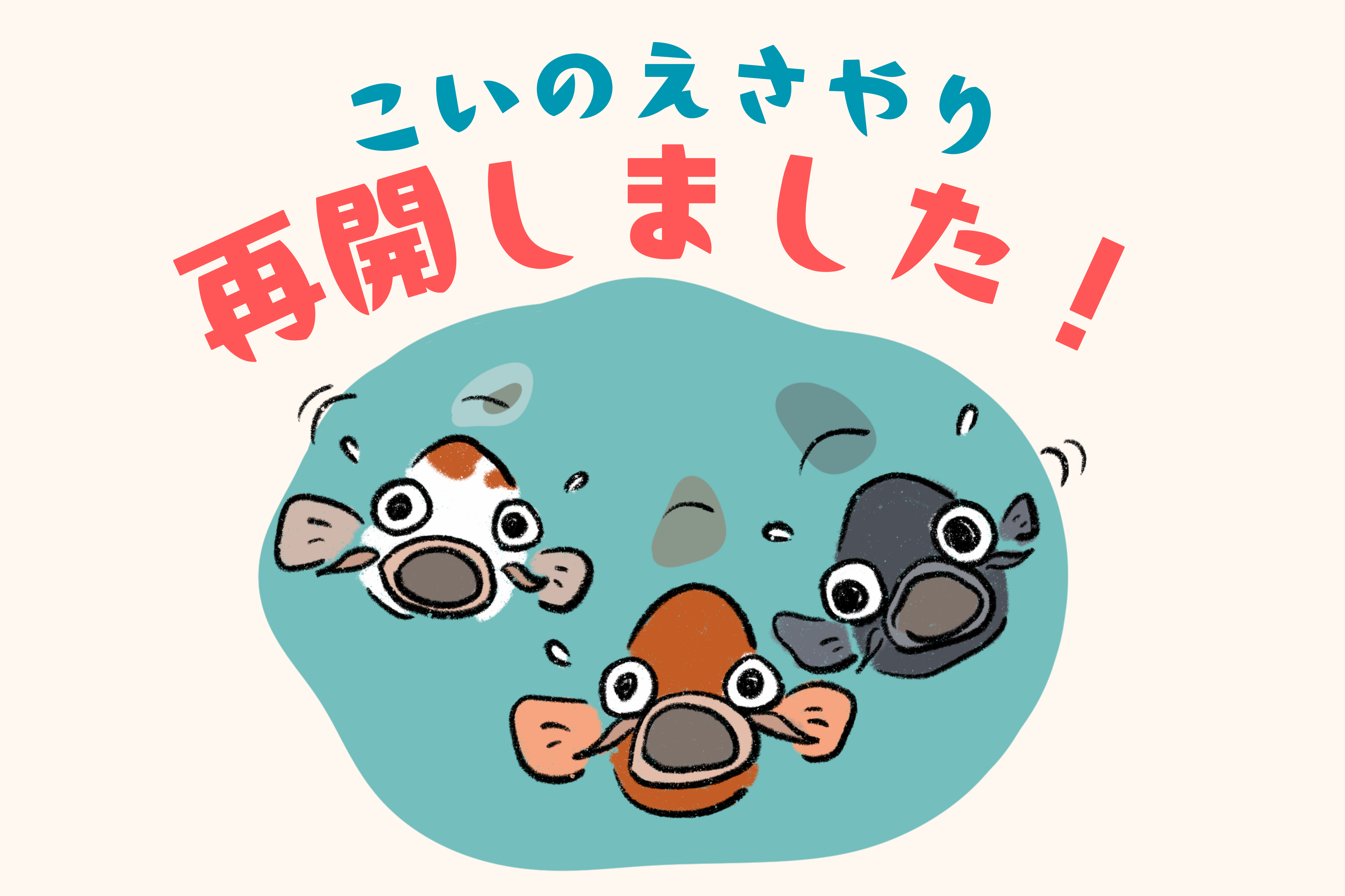 鯉のエサやりを再開しました！ | 堺市都市緑化センター | 大阪府・堺市