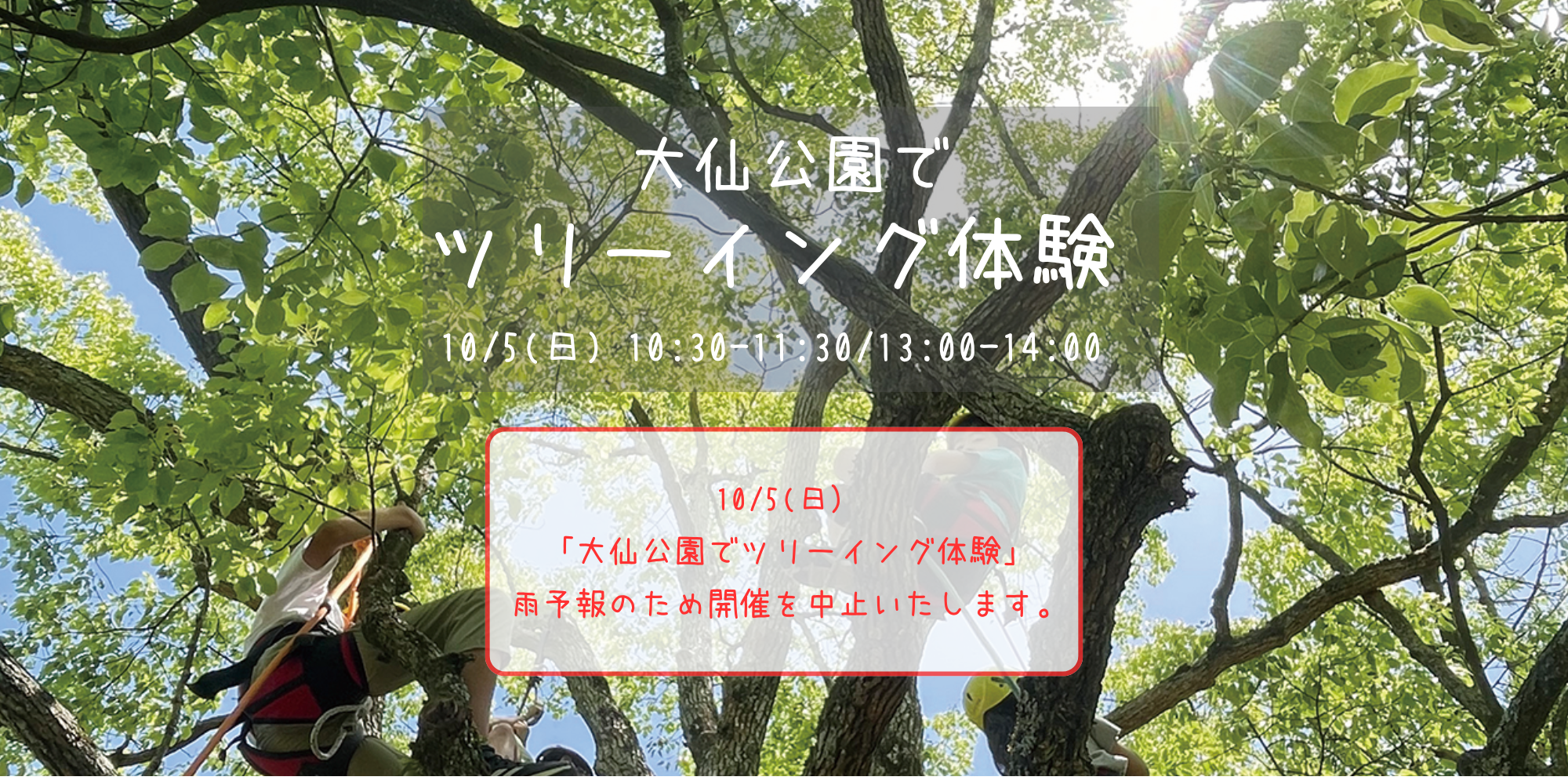 10/5（日）ツリーイング体験中止のお知らせ | 堺市都市緑化センター